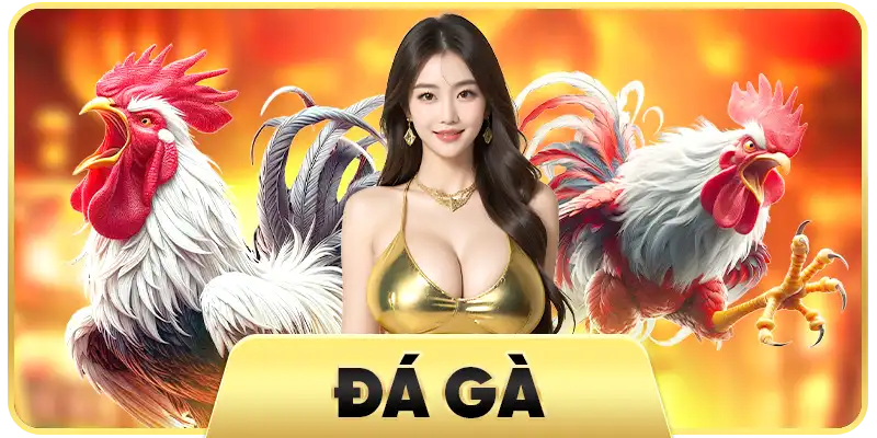 đá gà 33win