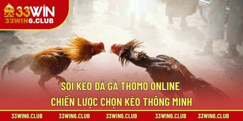 Soi Kèo Đá Gà Thomo Online – Chiến Lược Chọn Kèo Thông Minh