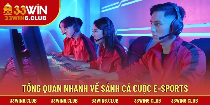 Tổng quan nhanh về sảnh Cá cược E-Sports