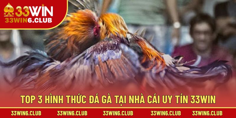 Top 3 hình thức đá gà tại nhà cái uy tín 33win