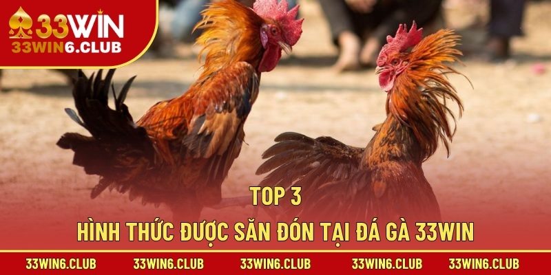 Top 3 hình thức được săn đón tại đá gà 33win